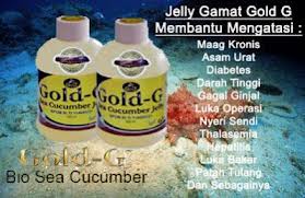 Obat Herbal Sakit Maag Jelly Gamat